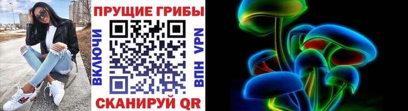 Галлюциногенные грибы мицелий купить наркотики сайты Лесосибирск